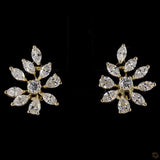 Womens Party Wear Earrings