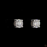 Pristine Ray Earrings